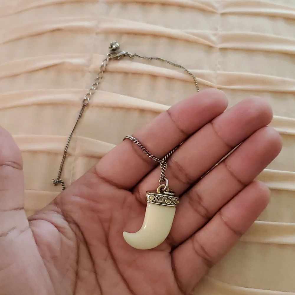 Animal Tooth Chain - Picture 5 of 5
